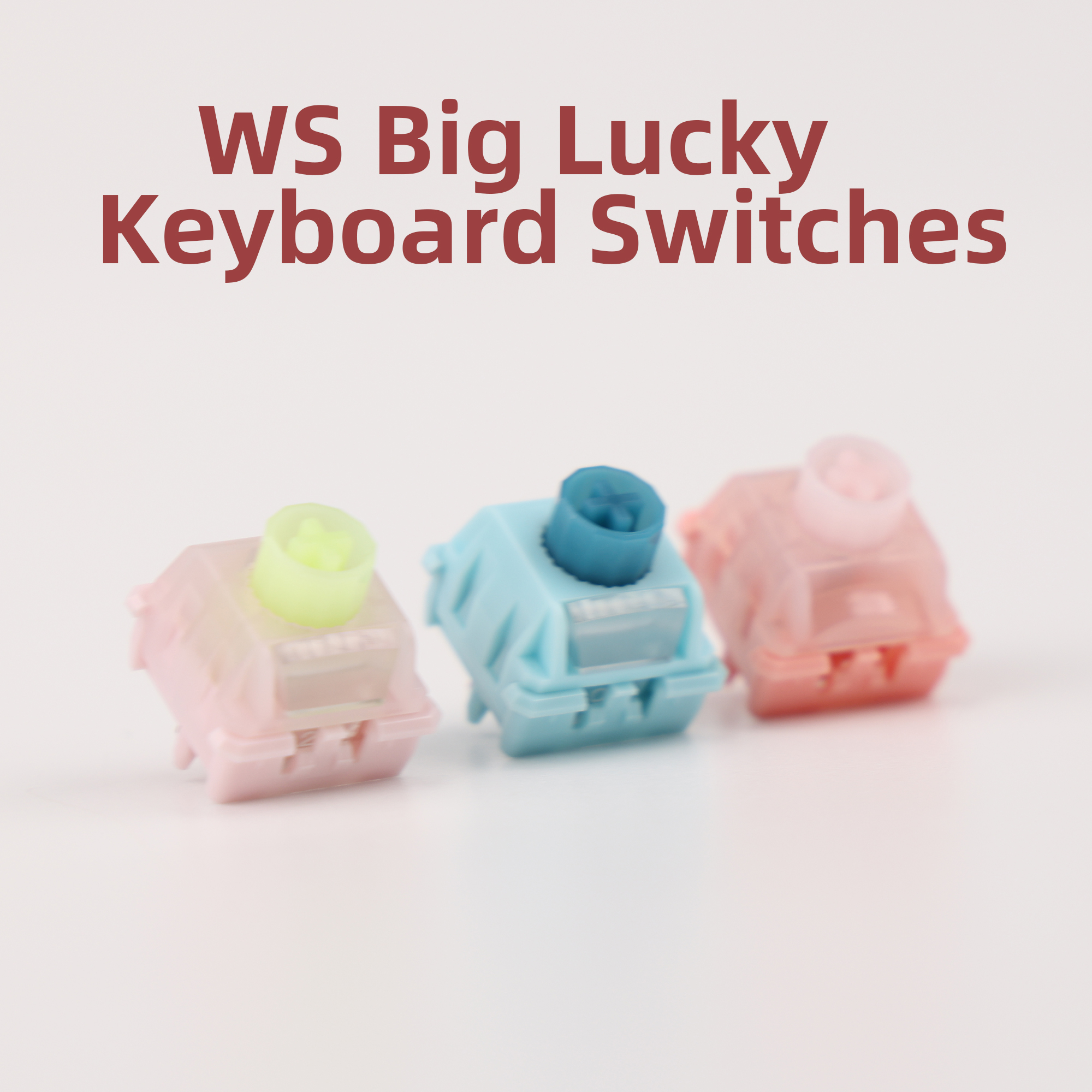 Keyboard Lube Kit - WS BigLucky-toetsenbordschakelaars, 5-pins vooraf gevoerde mechanische